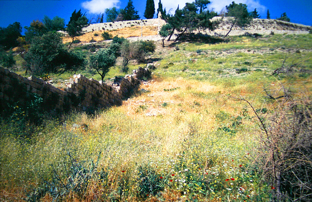 Гора Сион (Mount Zion)